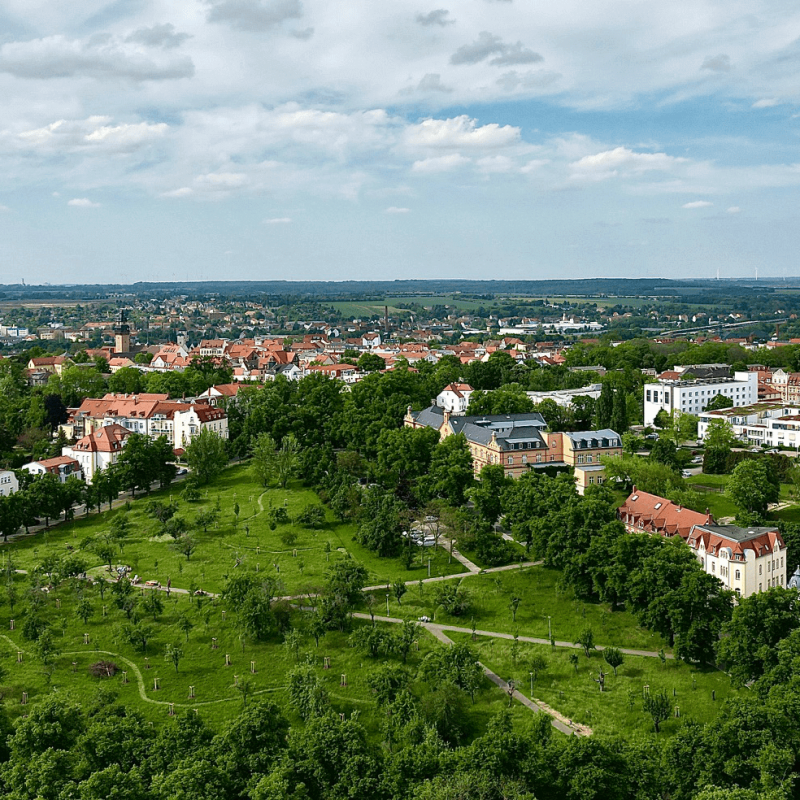 Luftbild der Stadt Zeitz mit Streuobstwiese und umliegender Bebauung